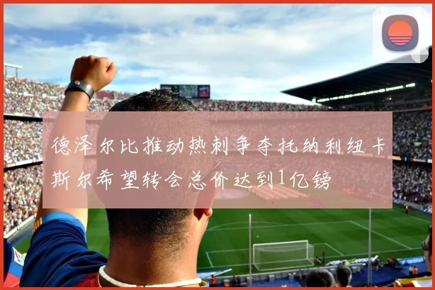 德泽尔比推动热刺争夺托纳利纽卡斯尔希望转会总价达到1亿镑