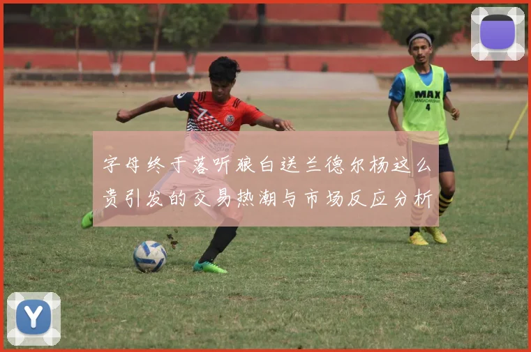 字母终于落听狼白送兰德尔杨这么贵引发的交易热潮与市场反应分析