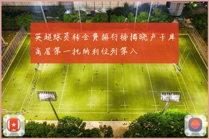 英超球员转会费排行榜揭晓卢卡库高居第一托纳利位列第八